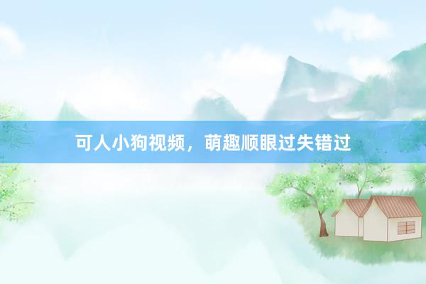 可人小狗视频，萌趣顺眼过失错过